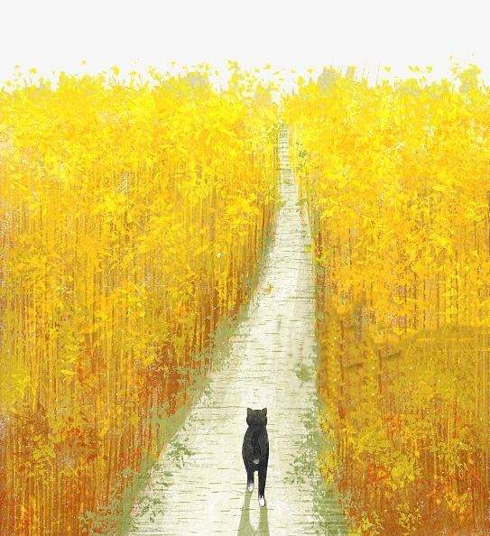 Pikachu漏洞练习